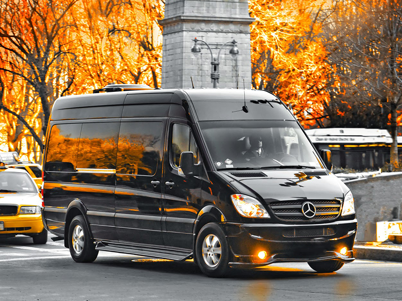 Sprinter